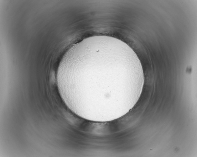 X0000090470089200708102143