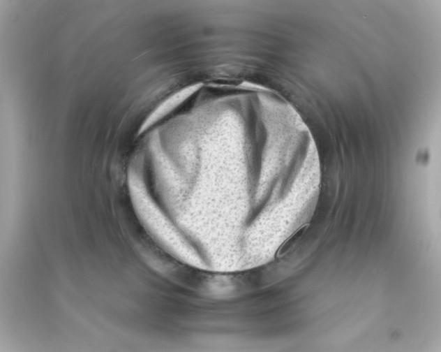 X0000090470091200708102143