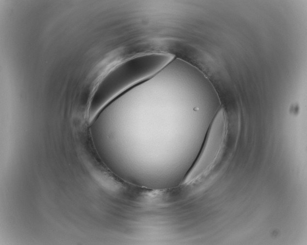 X0000090470092200708102143