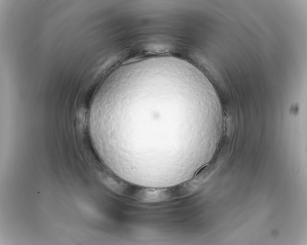 X0000090470093200708102143