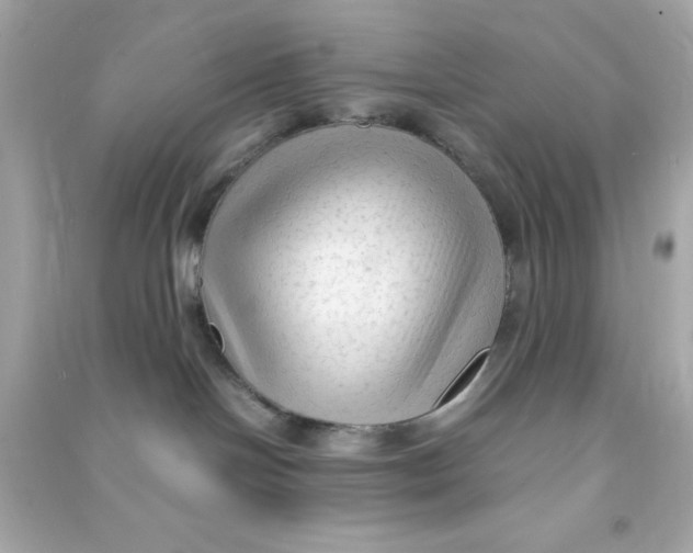 X0000090470094200708102143