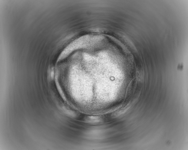 X0000090470095200708102143