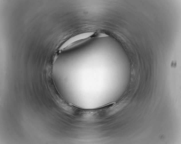 X0000090470096200708102143