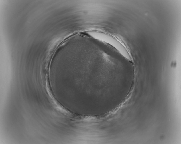 X0000090470097200708102142