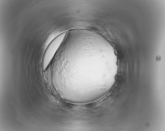 X0000090470099200708102142