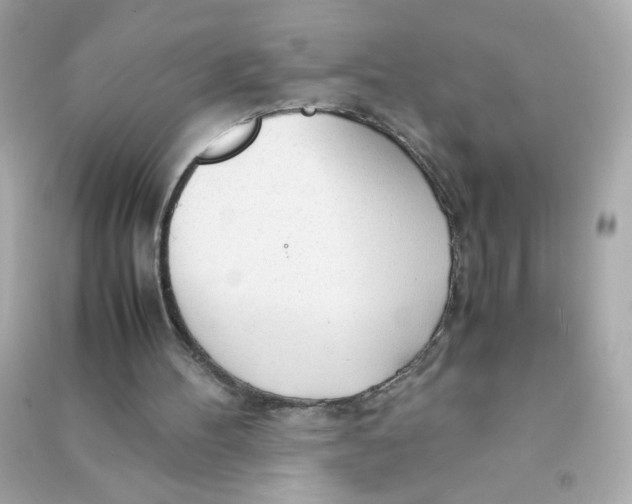 X0000090470100200708102142