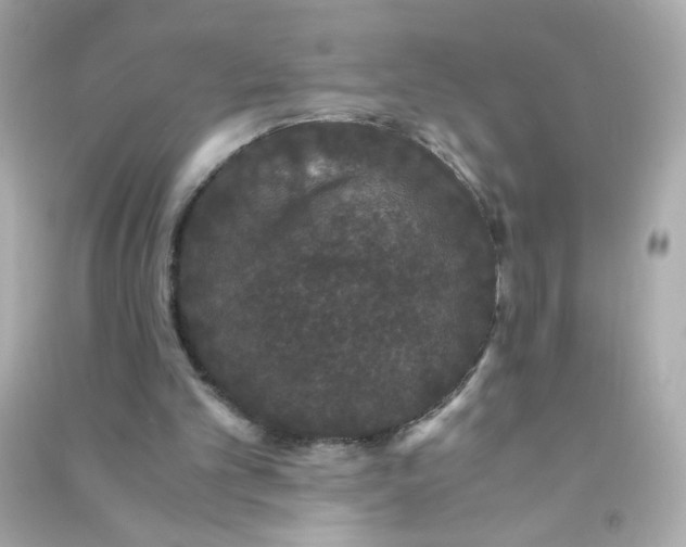 X0000090470101200708102142