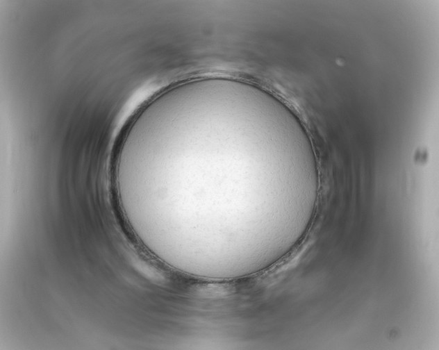 X0000090470102200708102142