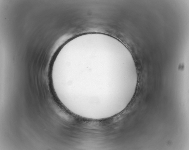 X0000090470104200708102142