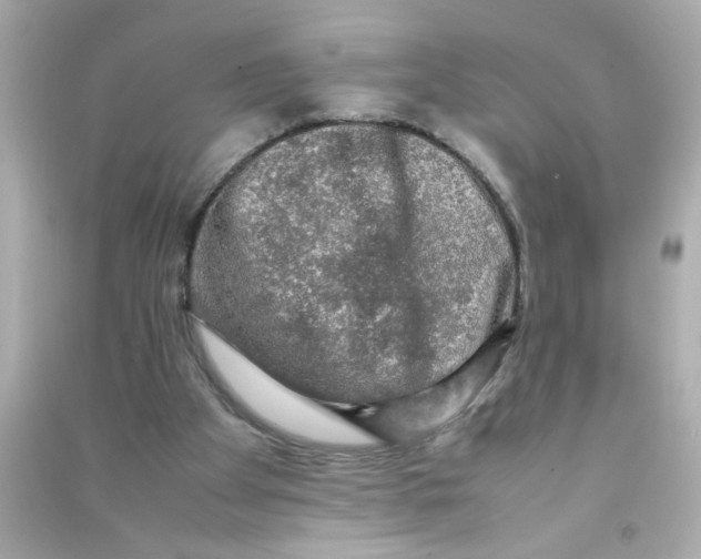 X0000090470105200708102142