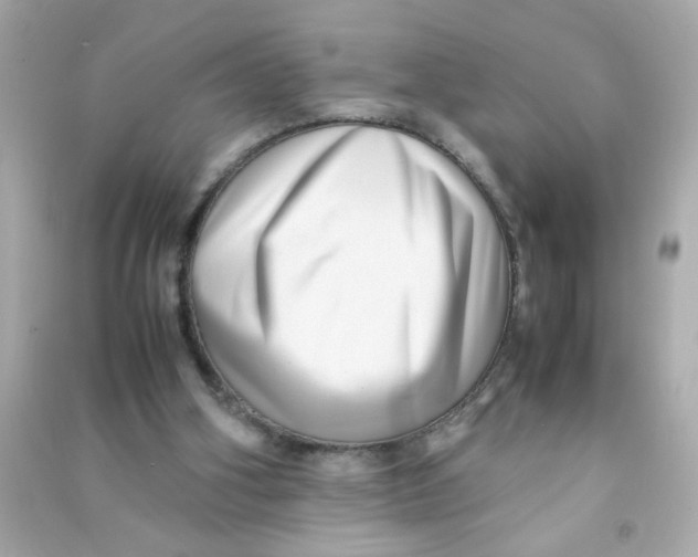 X0000090470106200708102142