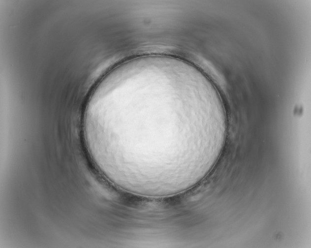 X0000090470107200708102142