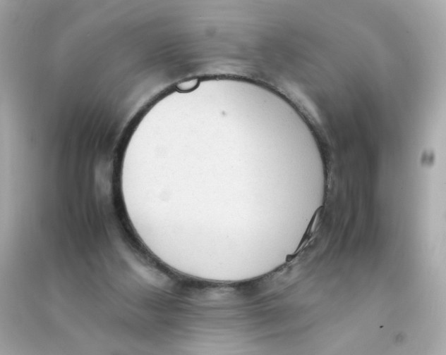 X0000090470108200708102142