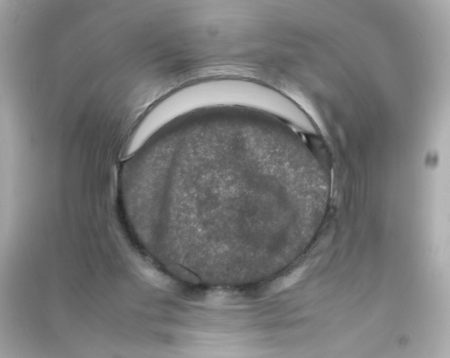 X0000090470109200708102142