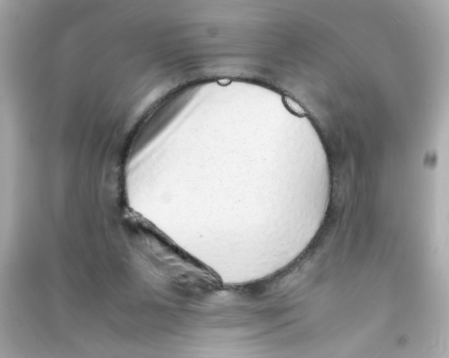 X0000090470111200708102142