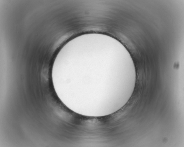 X0000090470112200708102142