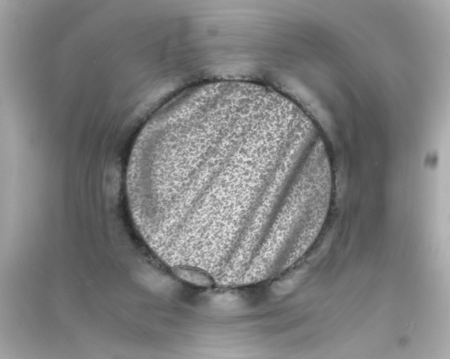 X0000090470113200708102142