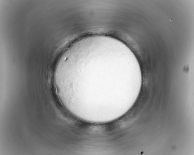 X0000090470115200708102142