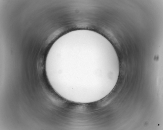 X0000090470116200708102142