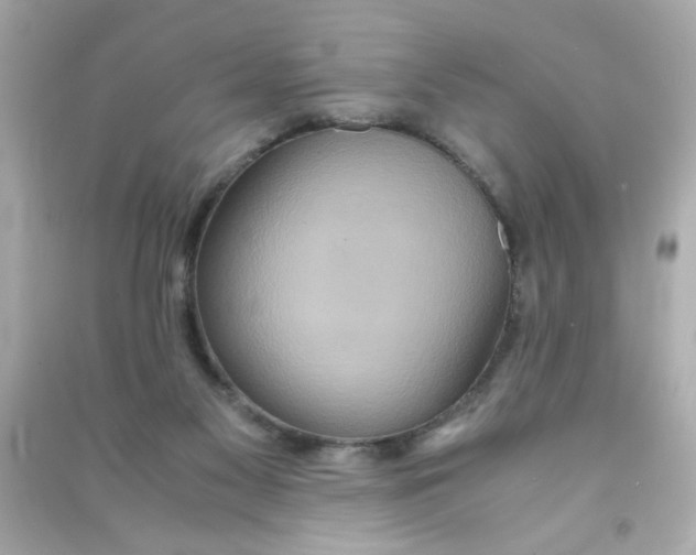 X0000090470117200708102142