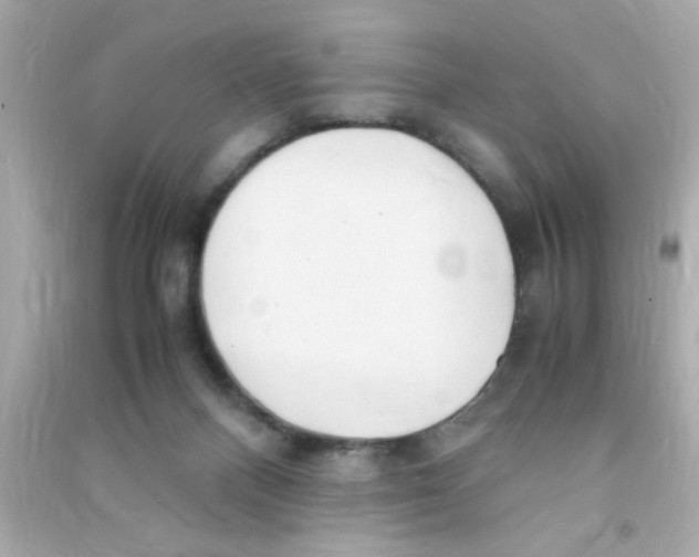 X0000090470120200708102142