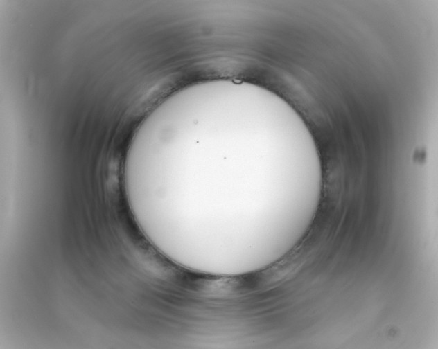 X0000090470122200708102142