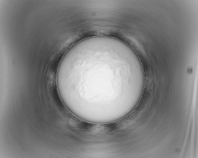 X0000090470123200708102142