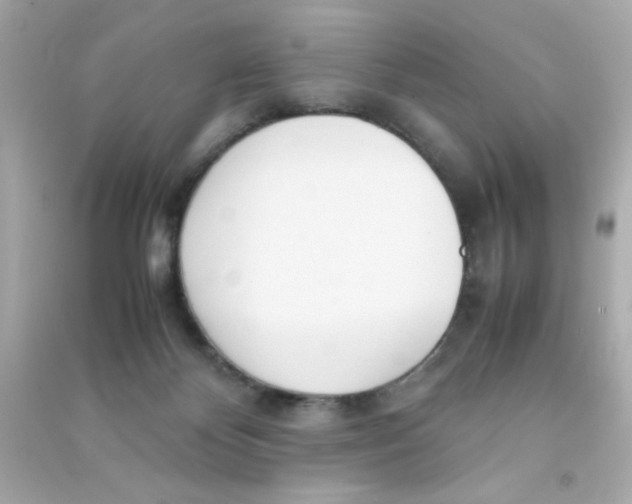 X0000090470124200708102142