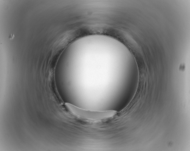 X0000090470125200708102142