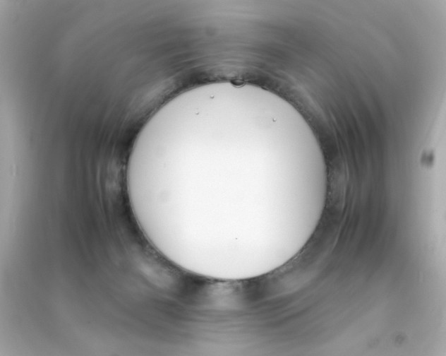 X0000090470126200708102142