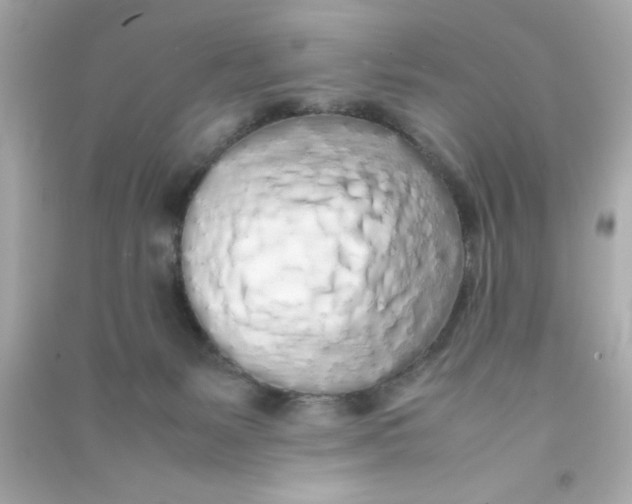 X0000090470127200708102142