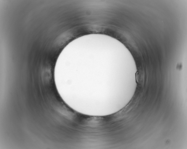 X0000090470128200708102142