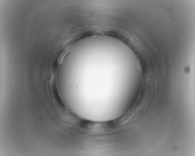 X0000090470129200708102142