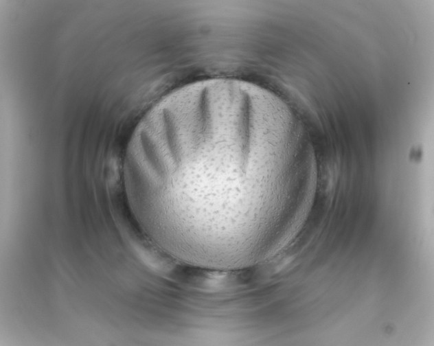 X0000090470130200708102142