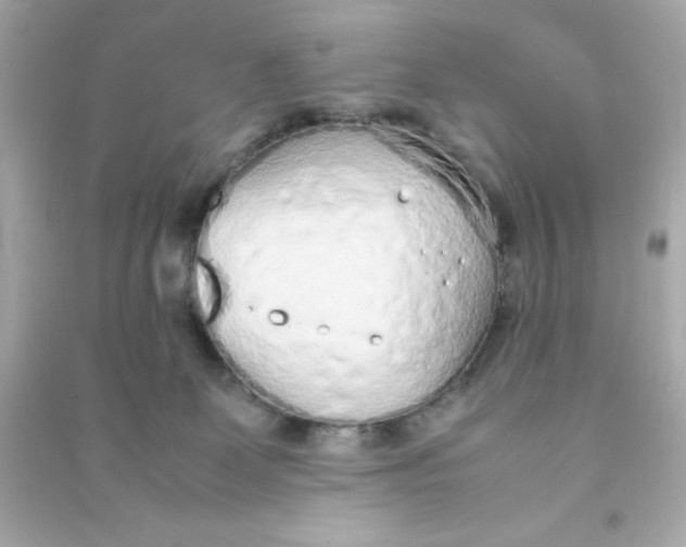 X0000090470131200708102142