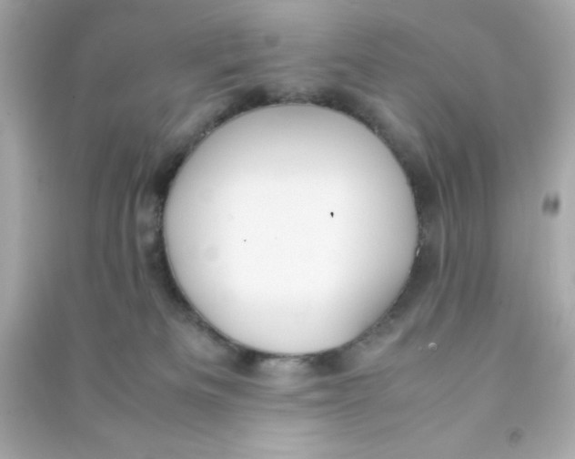 X0000090470133200708102142