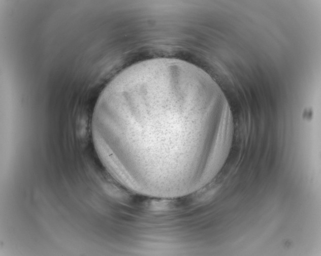 X0000090470134200708102142