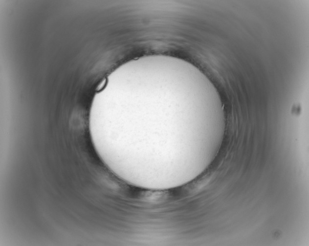 X0000090470135200708102142