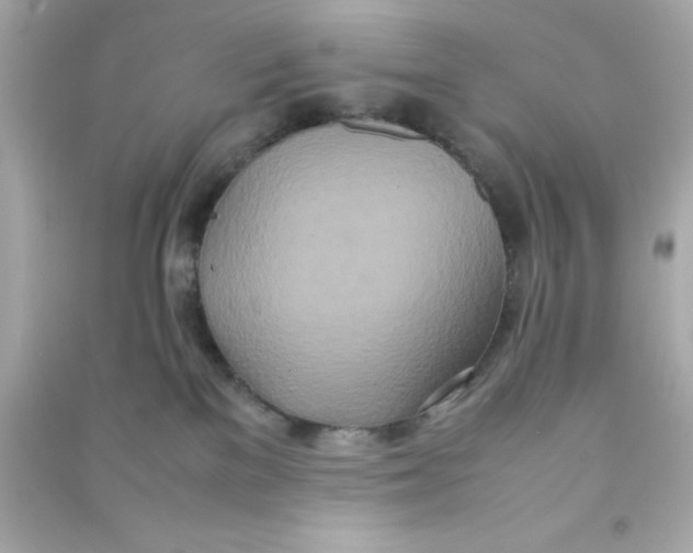 X0000090470137200708102142