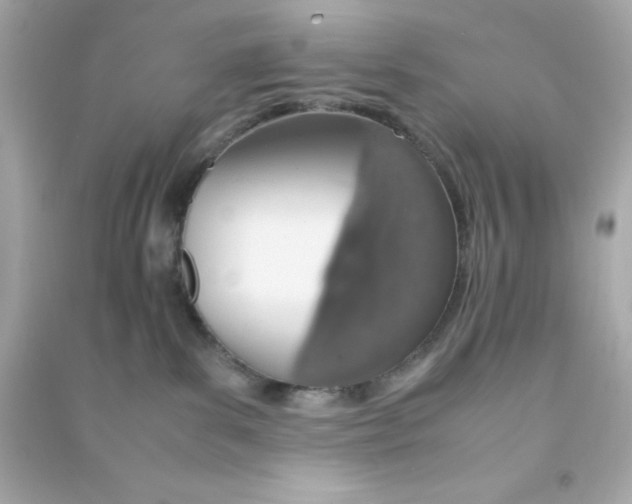 X0000090470139200708102142