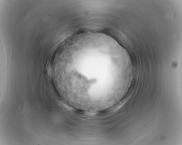 X0000090470143200708102142