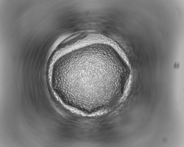 X0000090470147200708102141