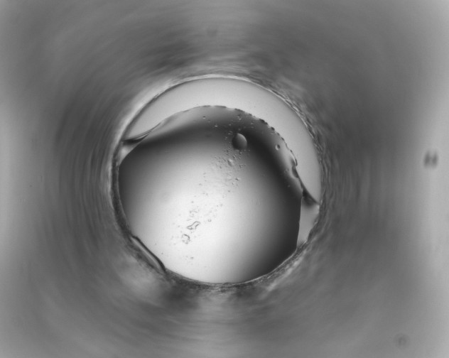 X0000090470148200708102141