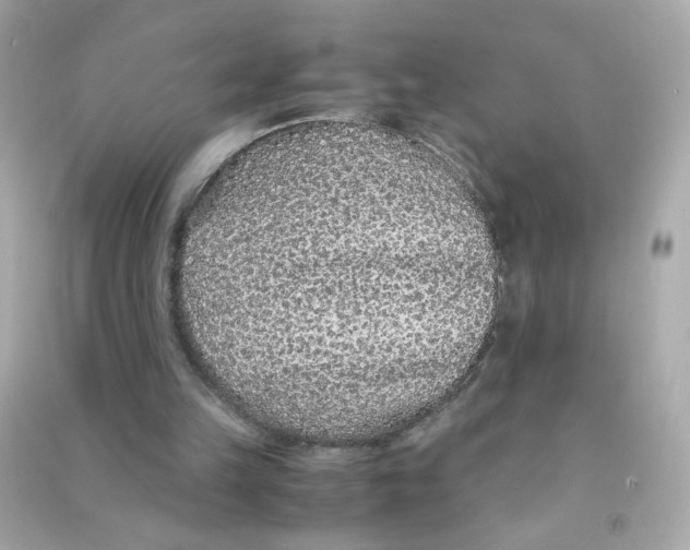 X0000090470149200708102141