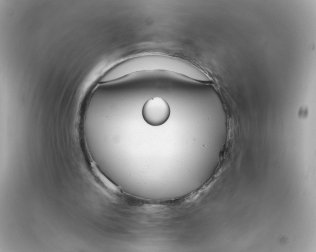 X0000090470150200708102141