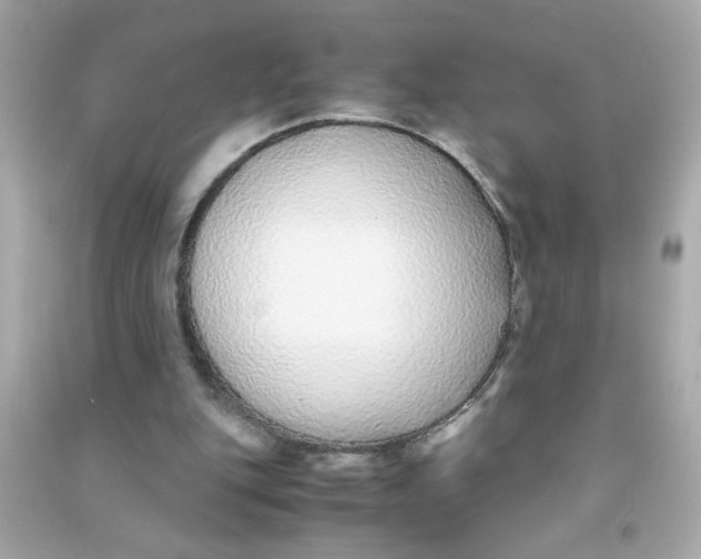 X0000090470151200708102141