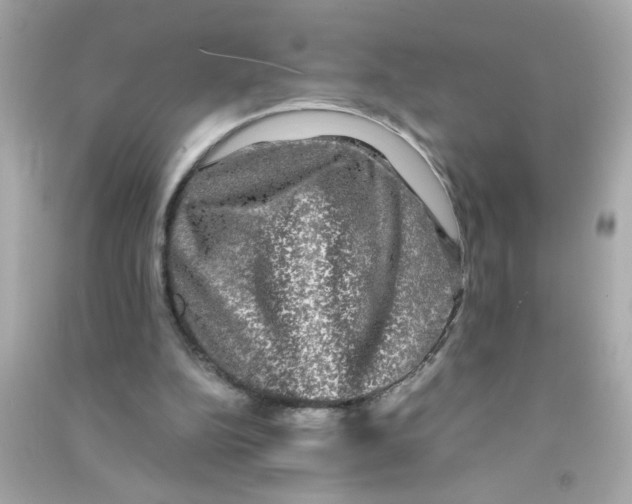 X0000090470152200708102141