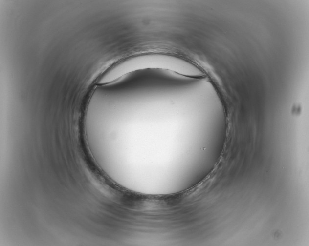 X0000090470154200708102141