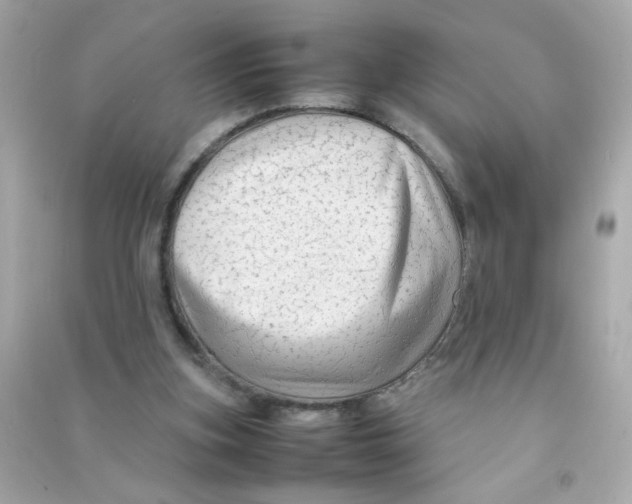 X0000090470155200708102141