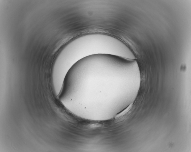 X0000090470158200708102141